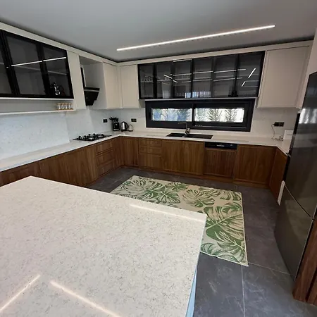 Willa Vip Lueks Odalar Banyo Ve Klimali Çeşme