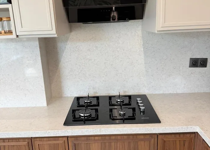 Vip Lueks Odalar Banyo Ve Klimali Villa